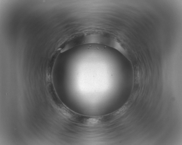 X0000066100176200603241527