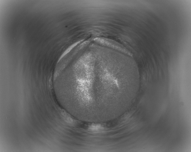 X0000066100177200603241527