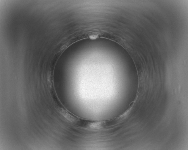 X0000066100178200603241527