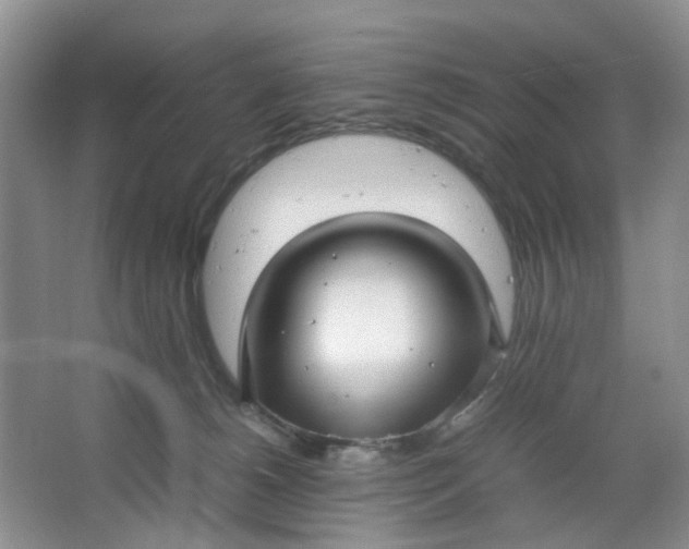 X0000066100180200603241527