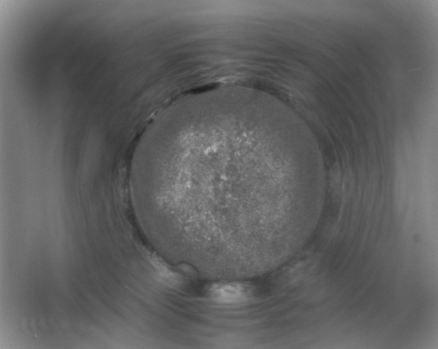 X0000066100181200603241528