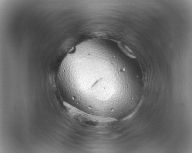 X0000066100182200603241528