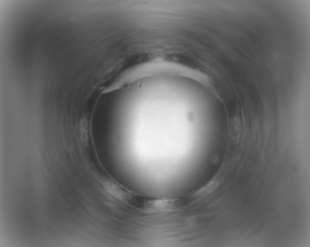 X0000066100184200603241528