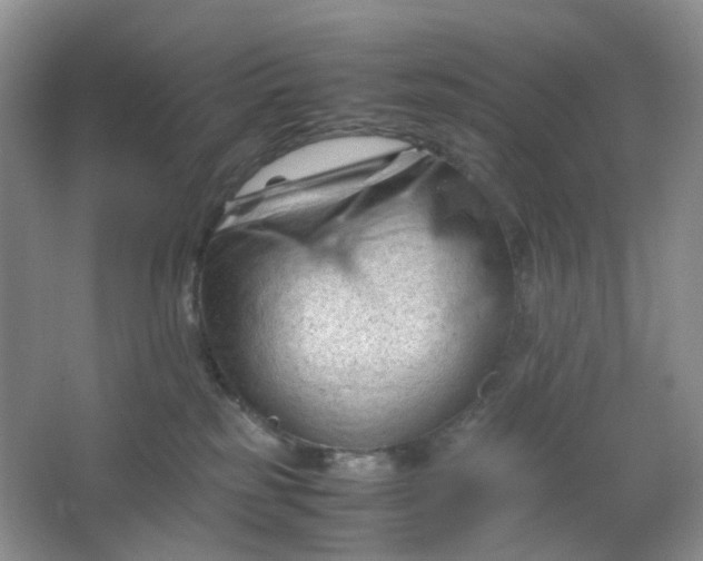 X0000066100185200603241528