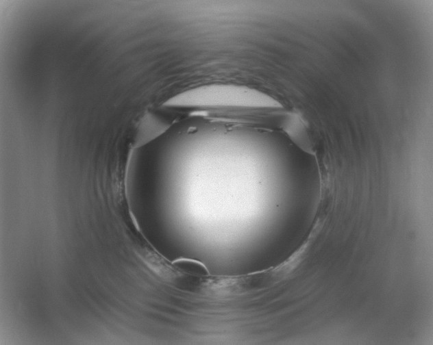 X0000066100186200603241528