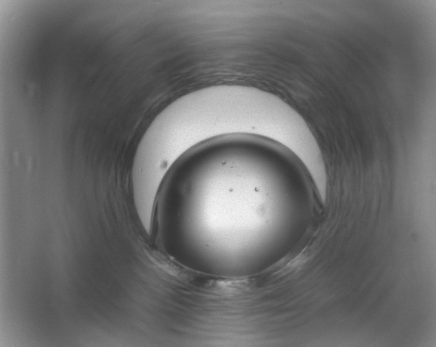 X0000066100188200603241528