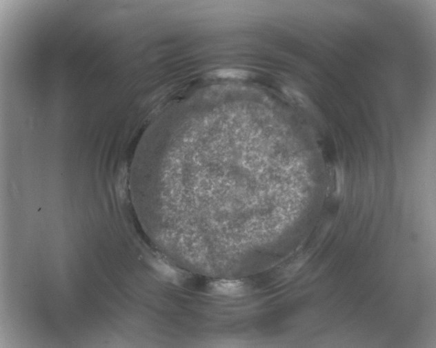 X0000066100189200603241528