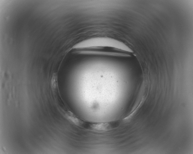 X0000066100191200603241528