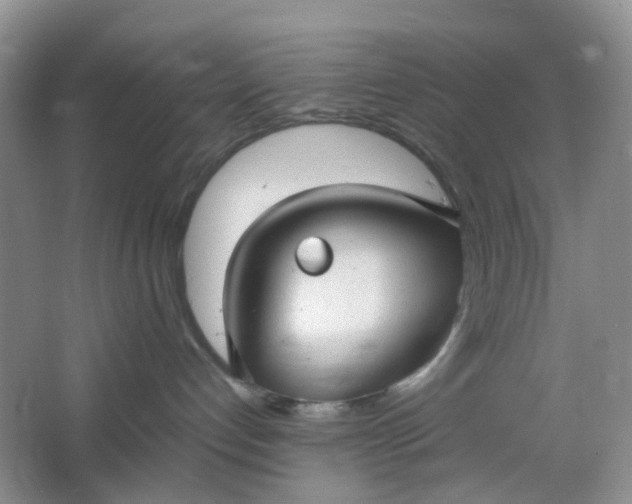 X0000066100192200603241528