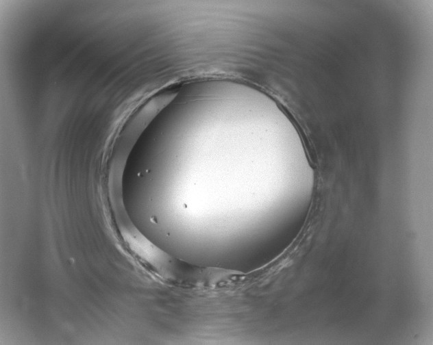 X0000066100193200603241527