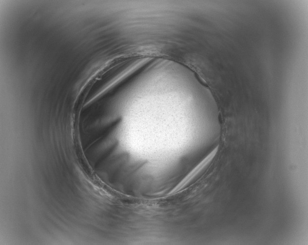 X0000066100194200603241527