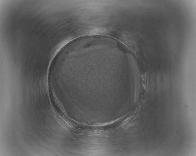 X0000066100196200603241527