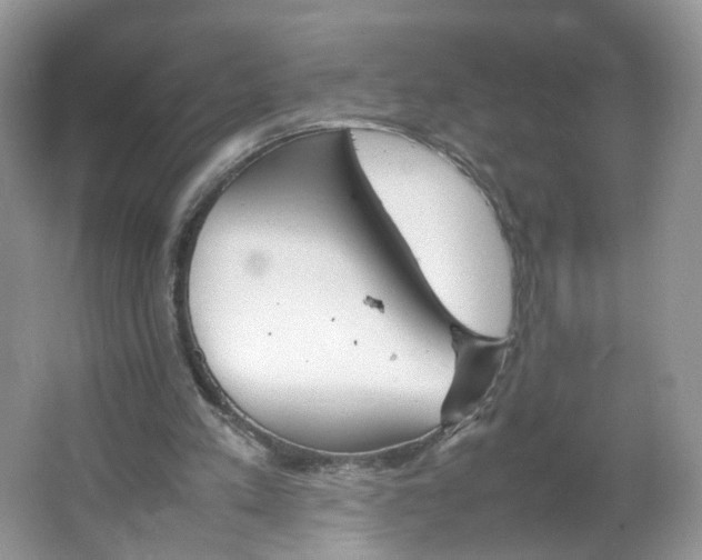 X0000066100197200603241527