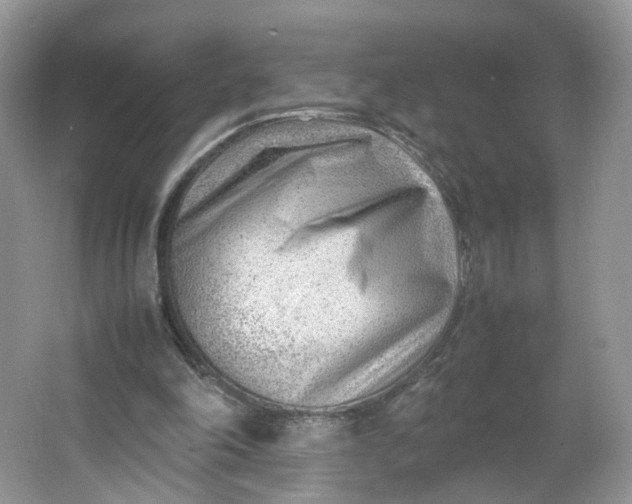 X0000066100198200603241527