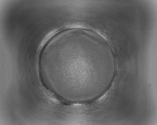 X0000066100199200603241527