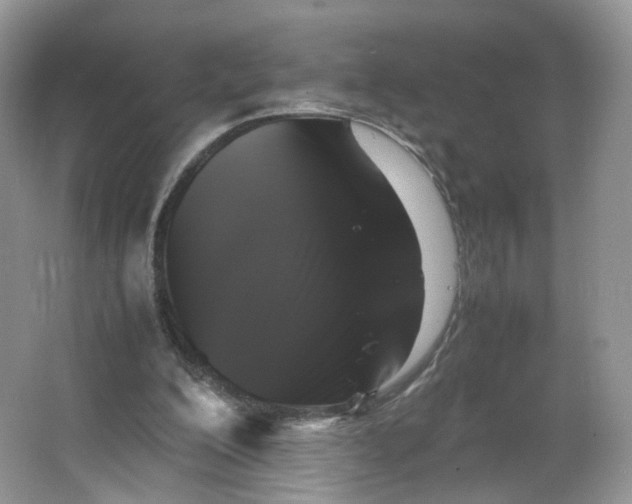 X0000066100200200603241527