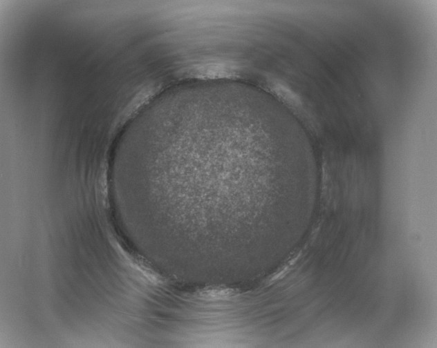 X0000066100202200603241527