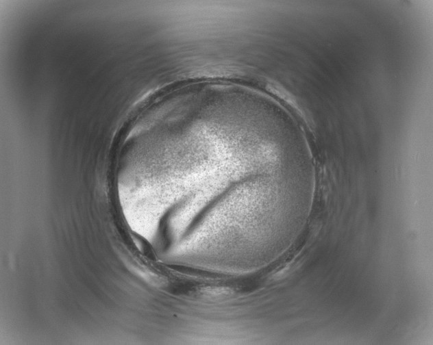 X0000066100203200603241527