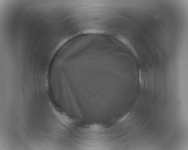 X0000066100204200603241527