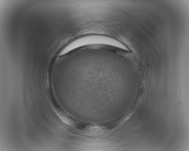 X0000066100205200603241527