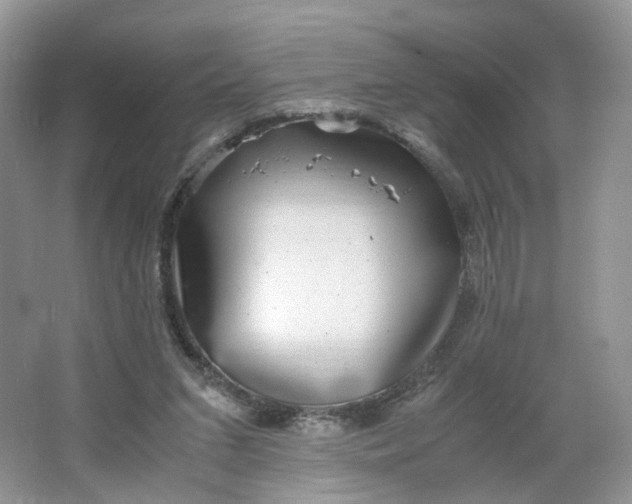 X0000066100207200603241527