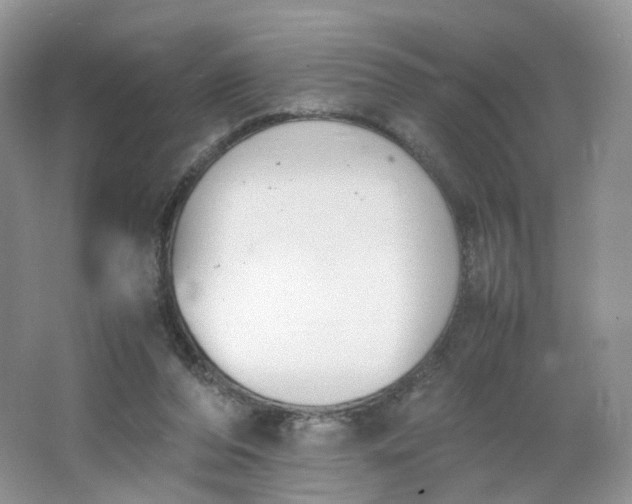 X0000066100208200603241527