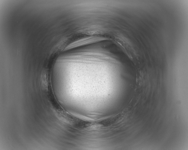 X0000066100210200603241527