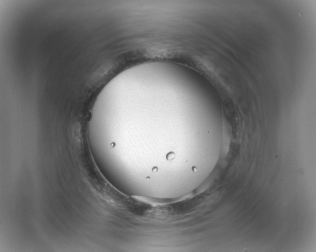 X0000066100211200603241527