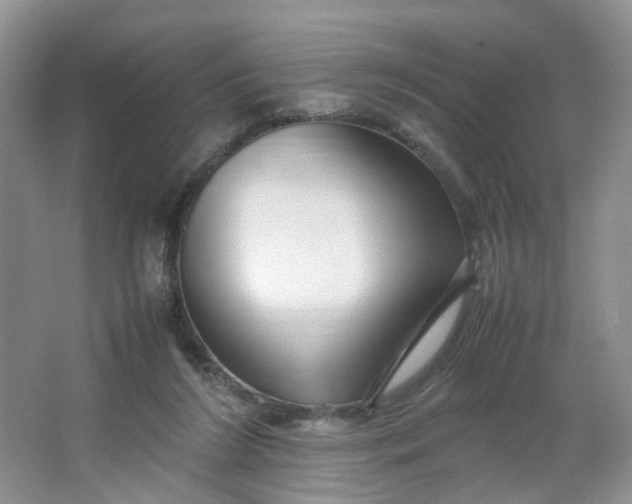 X0000066100212200603241527