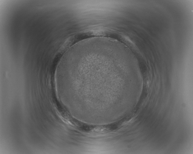 X0000066100213200603241527