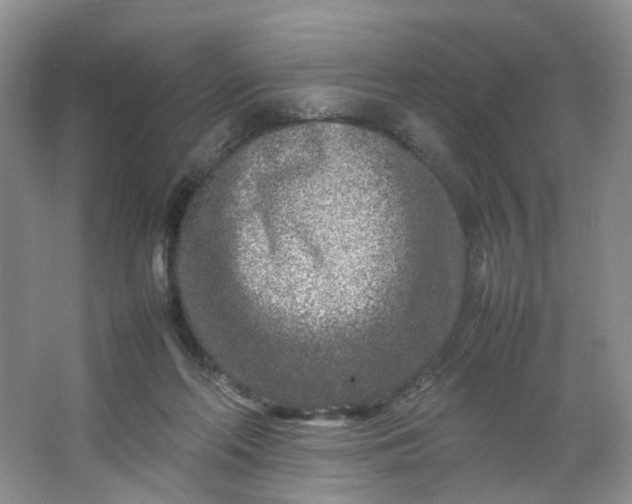 X0000066100214200603241527