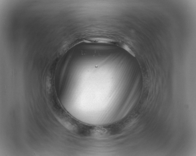 X0000066100215200603241527