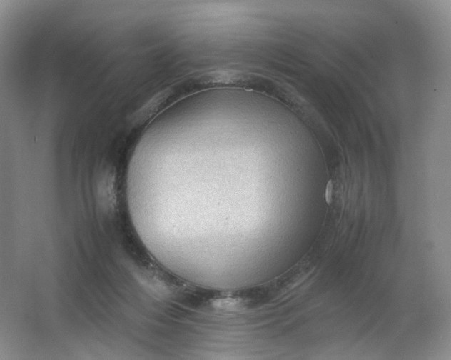 X0000066100216200603241526