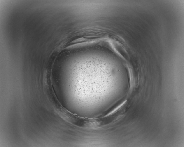 X0000066100217200603241526