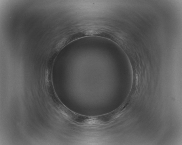 X0000066100219200603241526