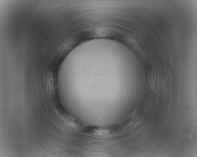 X0000066100220200603241526