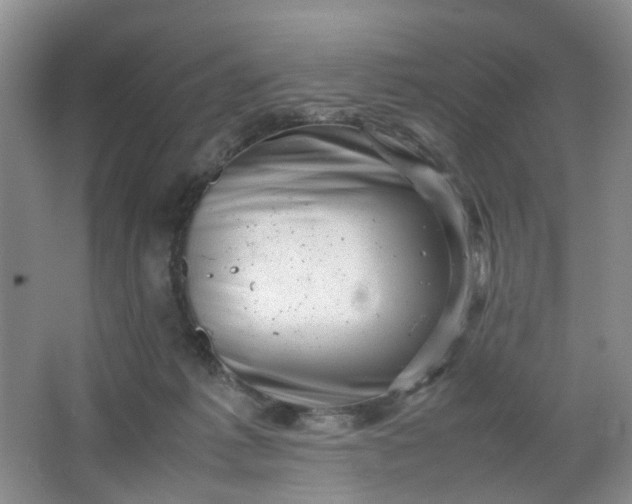 X0000066100221200603241526