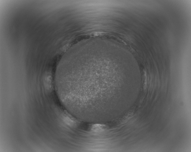 X0000066100222200603241526