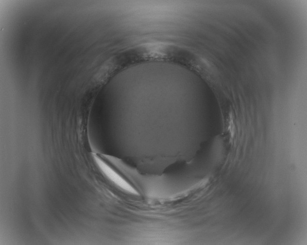 X0000066100223200603241526