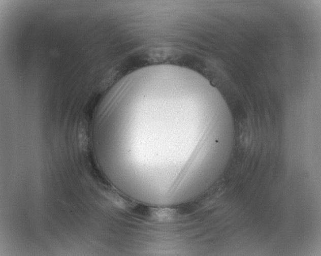 X0000066100226200603241526