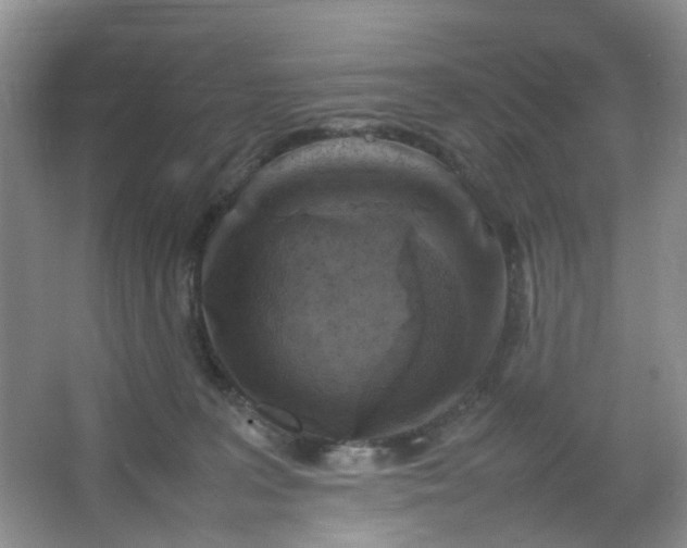 X0000066100227200603241526