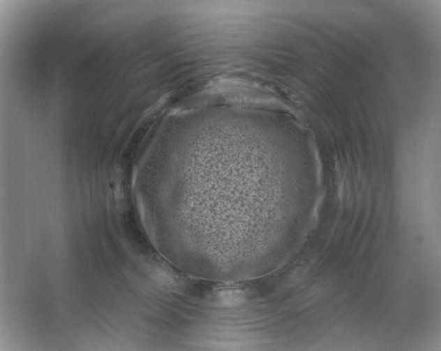 X0000066100228200603241526