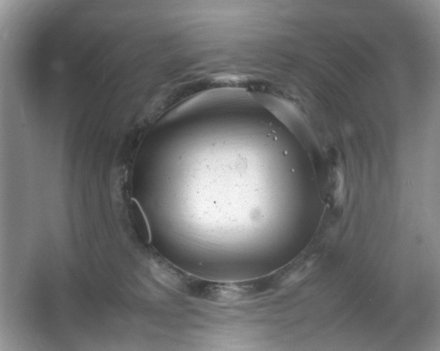 X0000066100229200603241526