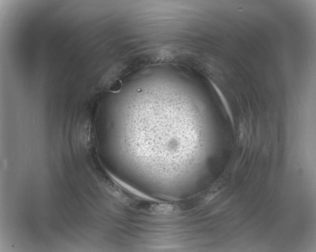 X0000066100230200603241526