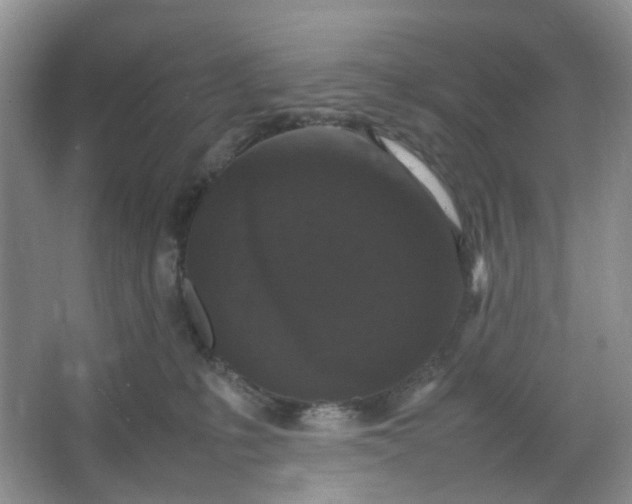 X0000066100231200603241526