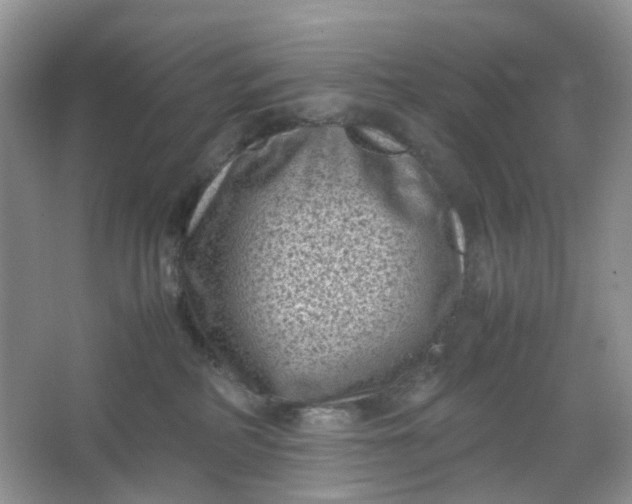 X0000066100234200603241526