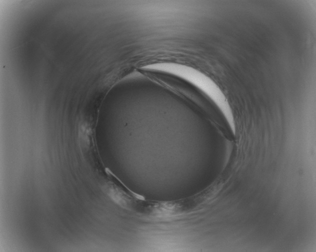 X0000066100235200603241526