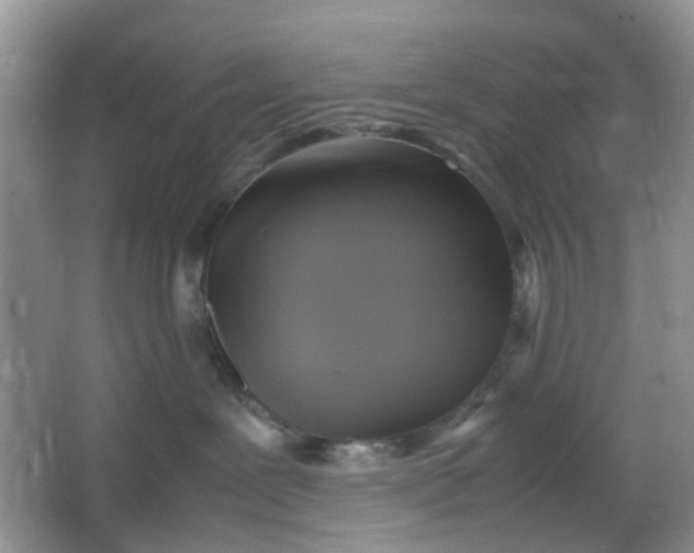 X0000066100239200603241526