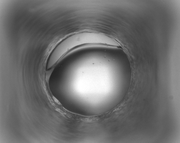 X0000066100241200603241525