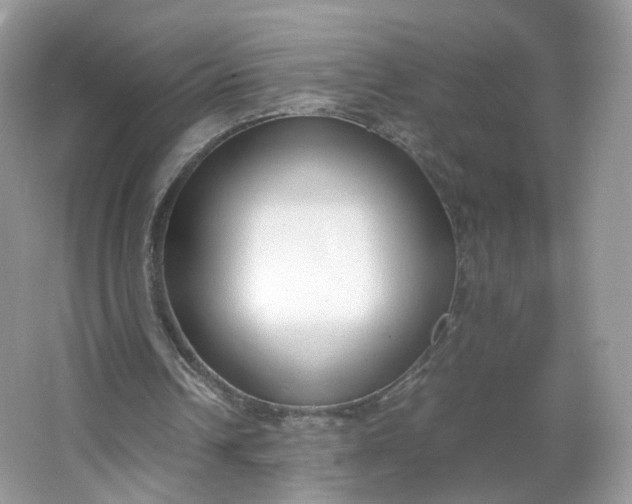 X0000066100242200603241525